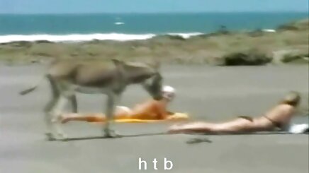 Bok türk dublaj porno